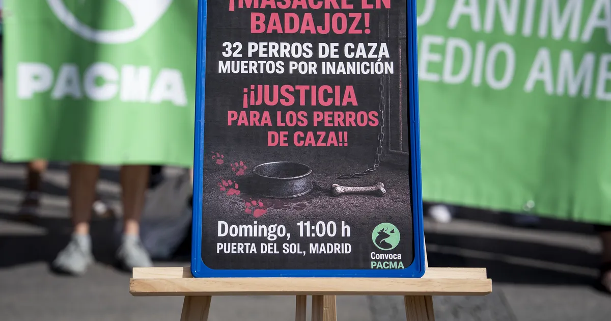 PIINARIKAS LÕPP ⟩ Hispaania mehaanik näljutas 32 koera surnuks