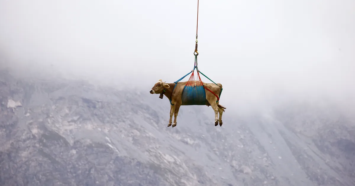 WSJ: Šveits arutab oma legendaarse neutraalsuse sobivust moodsasse maailma