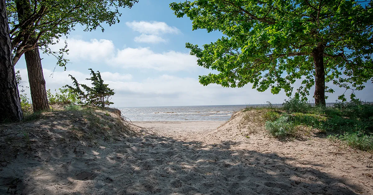 Kus pidas Tallinna Sotsiaal- ja Tervishoiuamet oma suvepäevi?