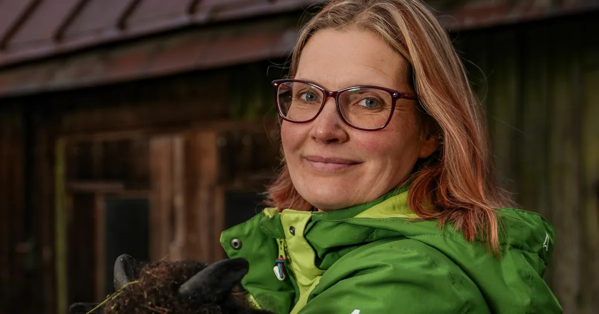 NÄDALA RAAMAT ⟩ Üksi 25 kilomeetrit seljakotiga teeb elu väga lihtsaks