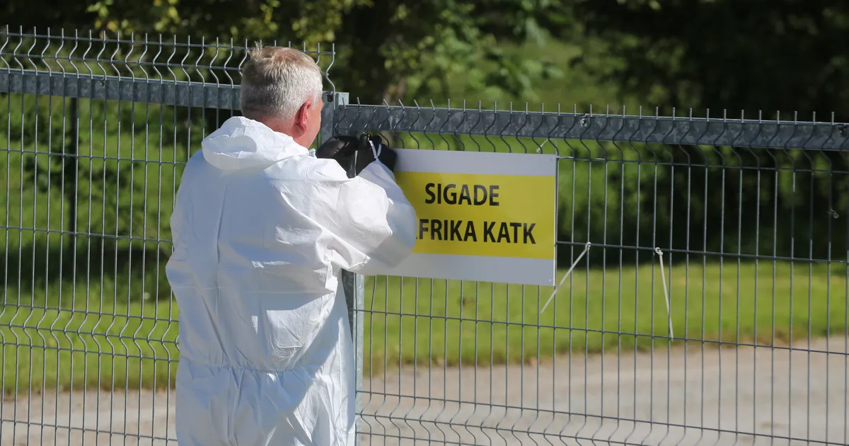 PTA kehtestas kaks uut viibimiskeeldu seoses seakatkuga