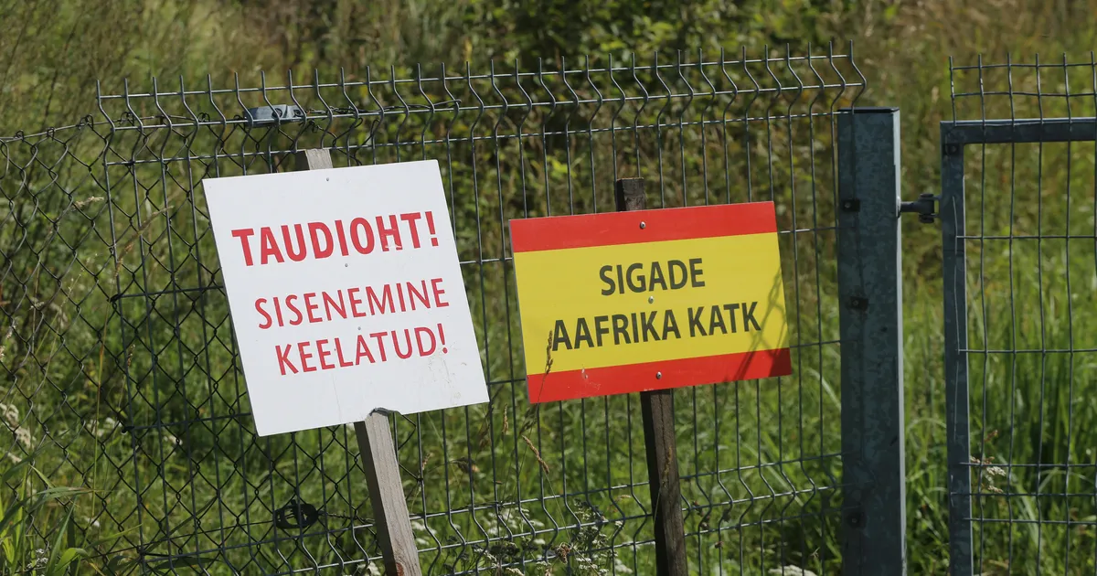 Valitsus annab seakatku kahjude hüvitamiseks üle 2 miljoni