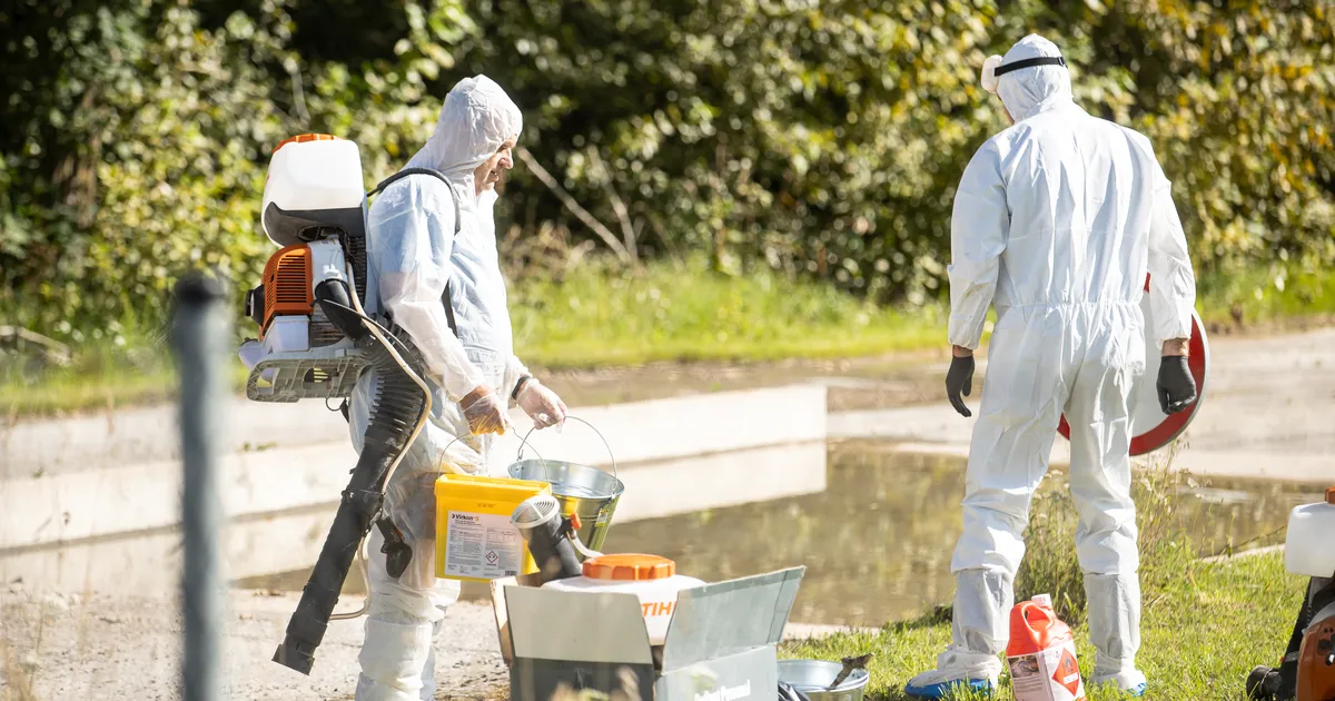 PTA: igasugune kogunemine taudikoldes on äärmiselt vastutustundetu