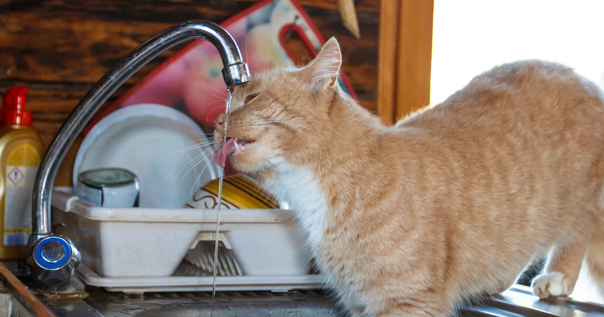 Miks tuleb suvel soojuse eest maksta?