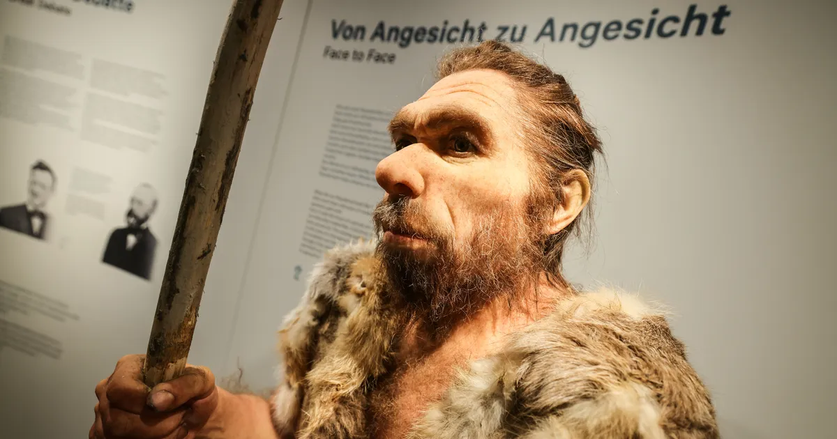 HÄMMASTAVAD TÖÖRIISTAD ⟩ Arheoloogide avastus Poolas õpetab neandertallaste iidseid harjumusi