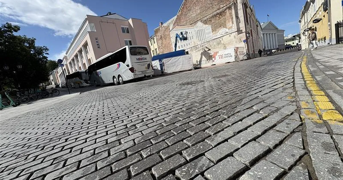 MIKS ⟩ Miks haigutab Ülikooli tänaval kivisillutise vahel jälle tühjus?