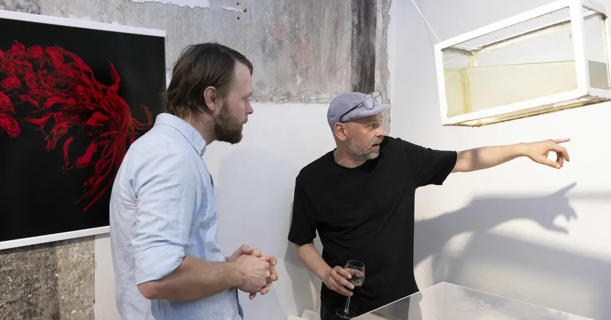 Galerii ⟩ Raekojas avatud “Tagasivaade kvintessentsile” võtab kokku Janno Bergmanni senise loometee