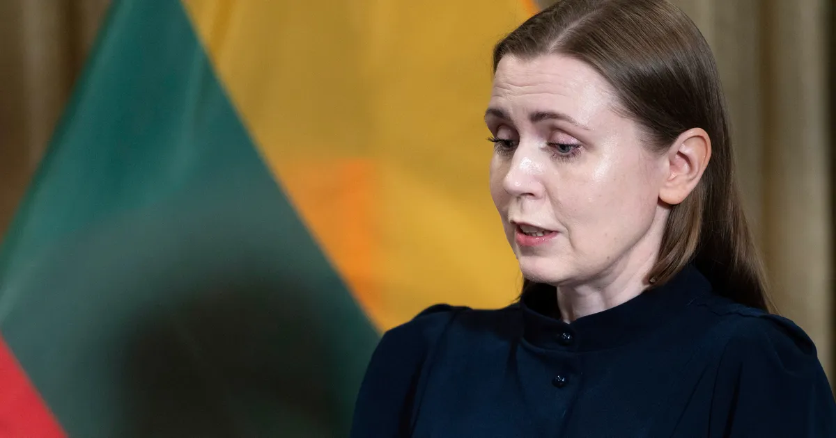 Leedu kaitseminister rahastas kampaaniat relvatootjate rahaga