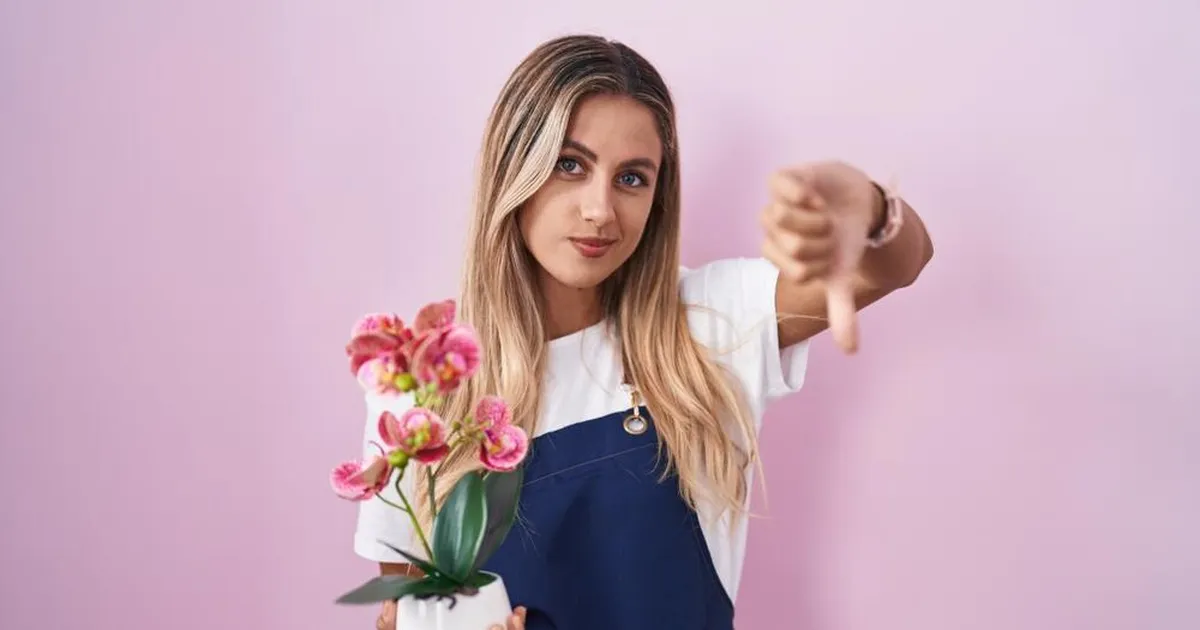 Miks ei tohiks orhideesid kasvatada tavalises lillepotis?