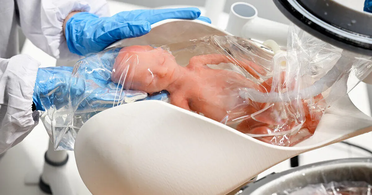 KÕHE VÄRK ⟩ Need Hiina kunstemakatega robotid on mõeldud inimeste kasvatamiseks