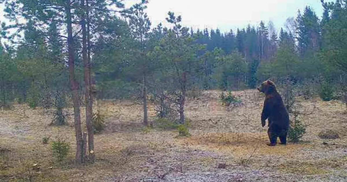 Selgunud on Eesti kõige karuvaesem maakond