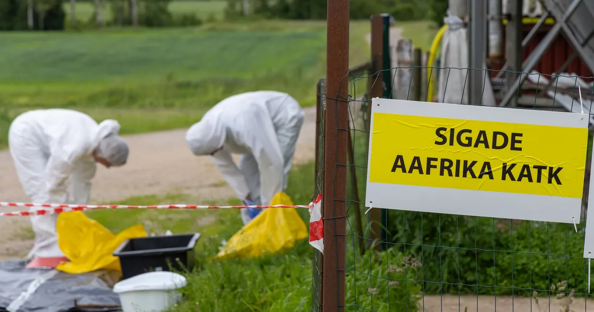 Riik toetab sigade Aafrika katku peatamist 3,8 miljoni euroga