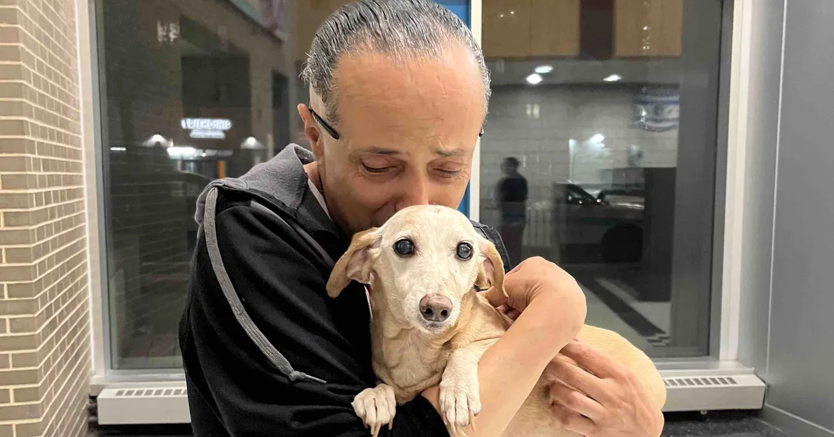 2 kuud kadunud: pimedalt mehelt varastatud koer jõudis imekombel koju tagasi