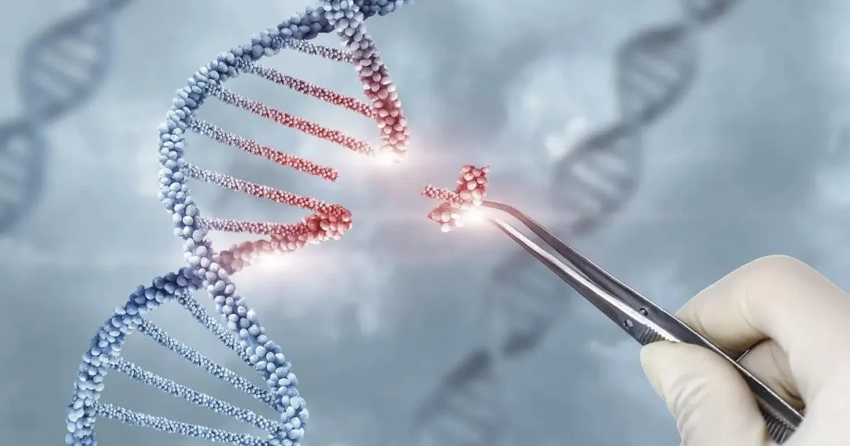 Pea pool inimgenoomist kosneb millestki üllatavast – enne nimetati seda rämpsuks aga tegelikult on sellel suur roll