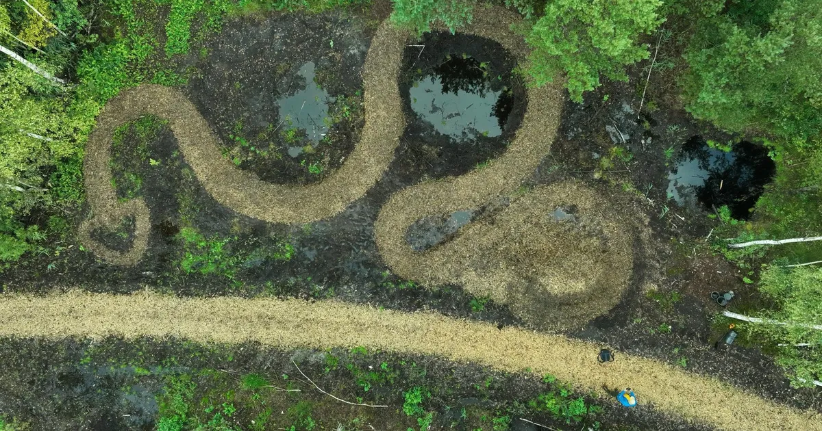 Galerii ⟩ Talgulised jätsid Kõrsa raba harrastusteadusrajale endast maha siu