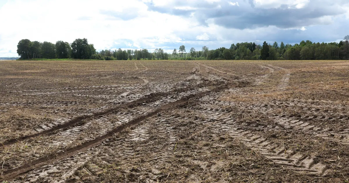 Pühapäeva hommikul lähenes Eestile kagust veel üks droon