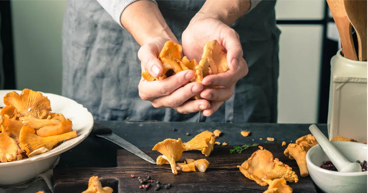 SELGUS MAJJA ⟩ Kuidas sügavkülmutada kukeseeni?