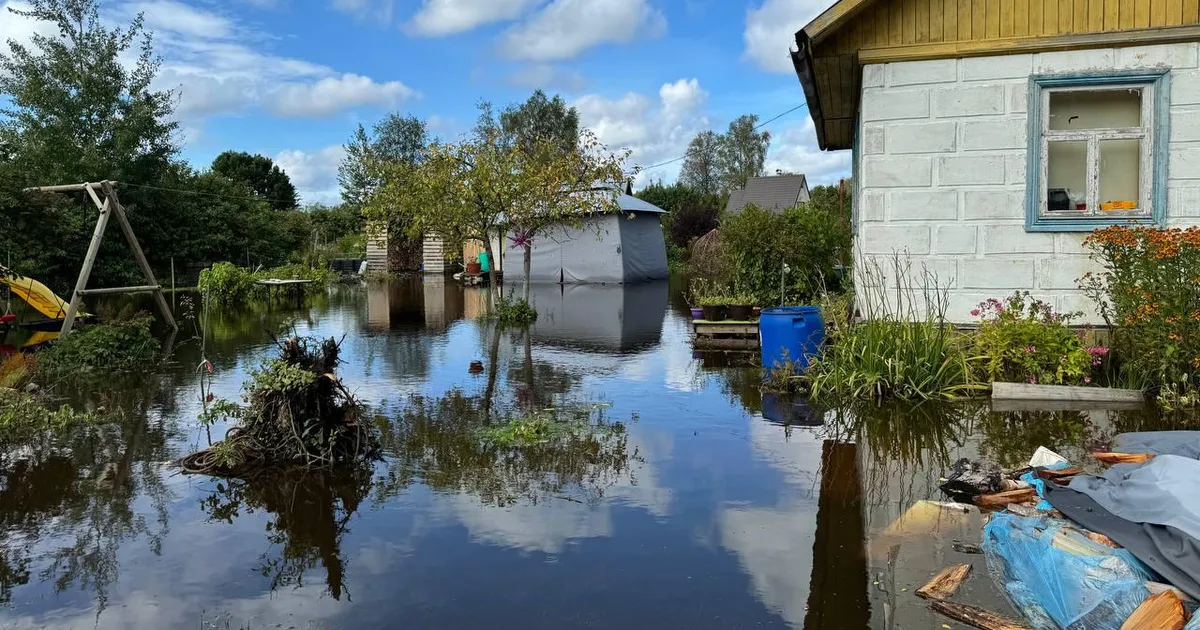 FOTOD ⟩ Narva aianduskooperatiive tabas aastakümnete suurim üleujutus