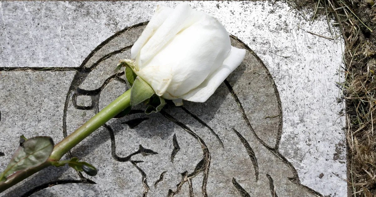 Briti matusekorraldaja sättis imikute surnukehi oma kodus «multikaid vaatama»