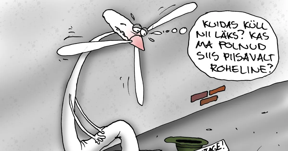 JUHTKIRI ⟩ Elektrit ei saa tasuta