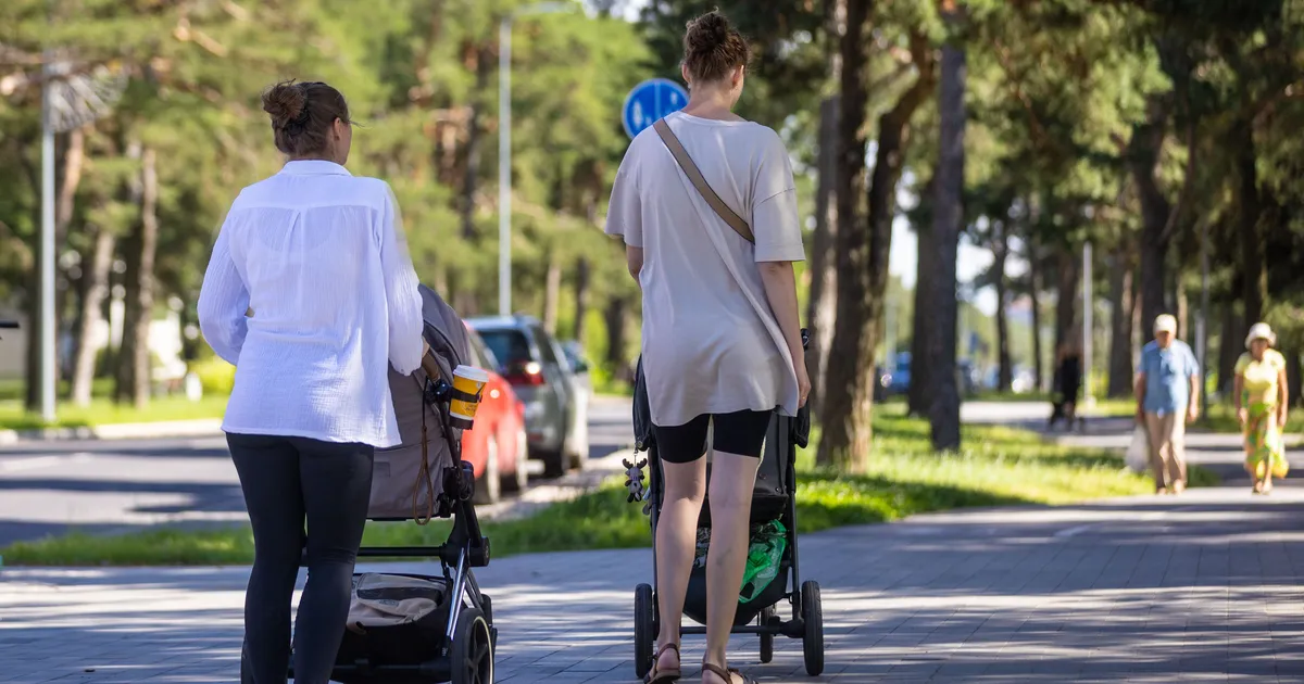 JAAK UIBU ⟩ Ühe mehe vead on teise mehe andmed