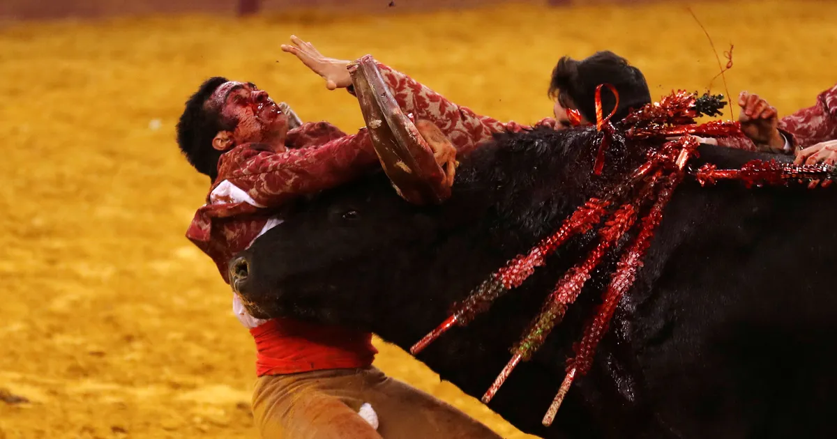 TRADITSIOONI LÕPP? ⟩ Portugalis suri 22-aastane härjavõitleja, alanud on tuline vaidlus