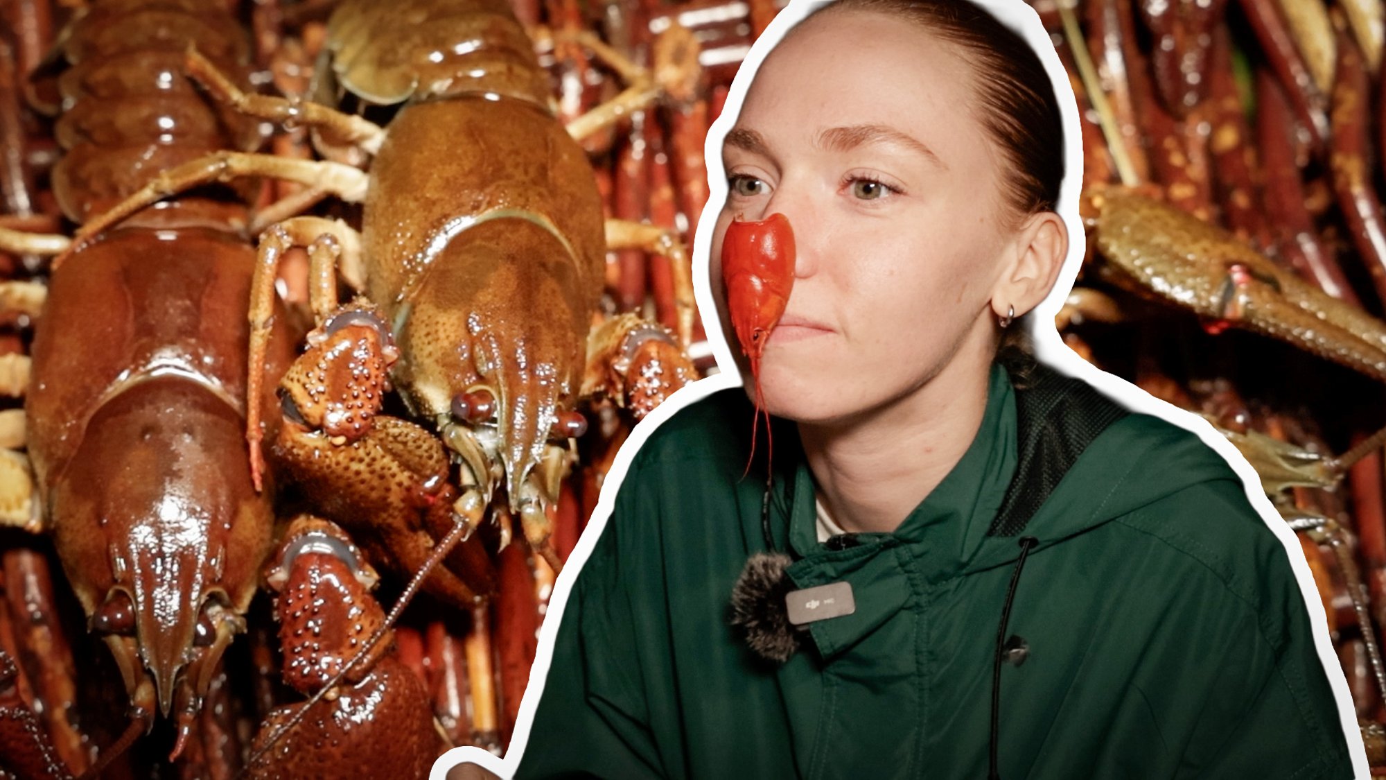 VIDEOREPORTAAŽ | „Võtan nii palju kui vaja on.“ Kuidas ma öösel jõevähki püüdsin