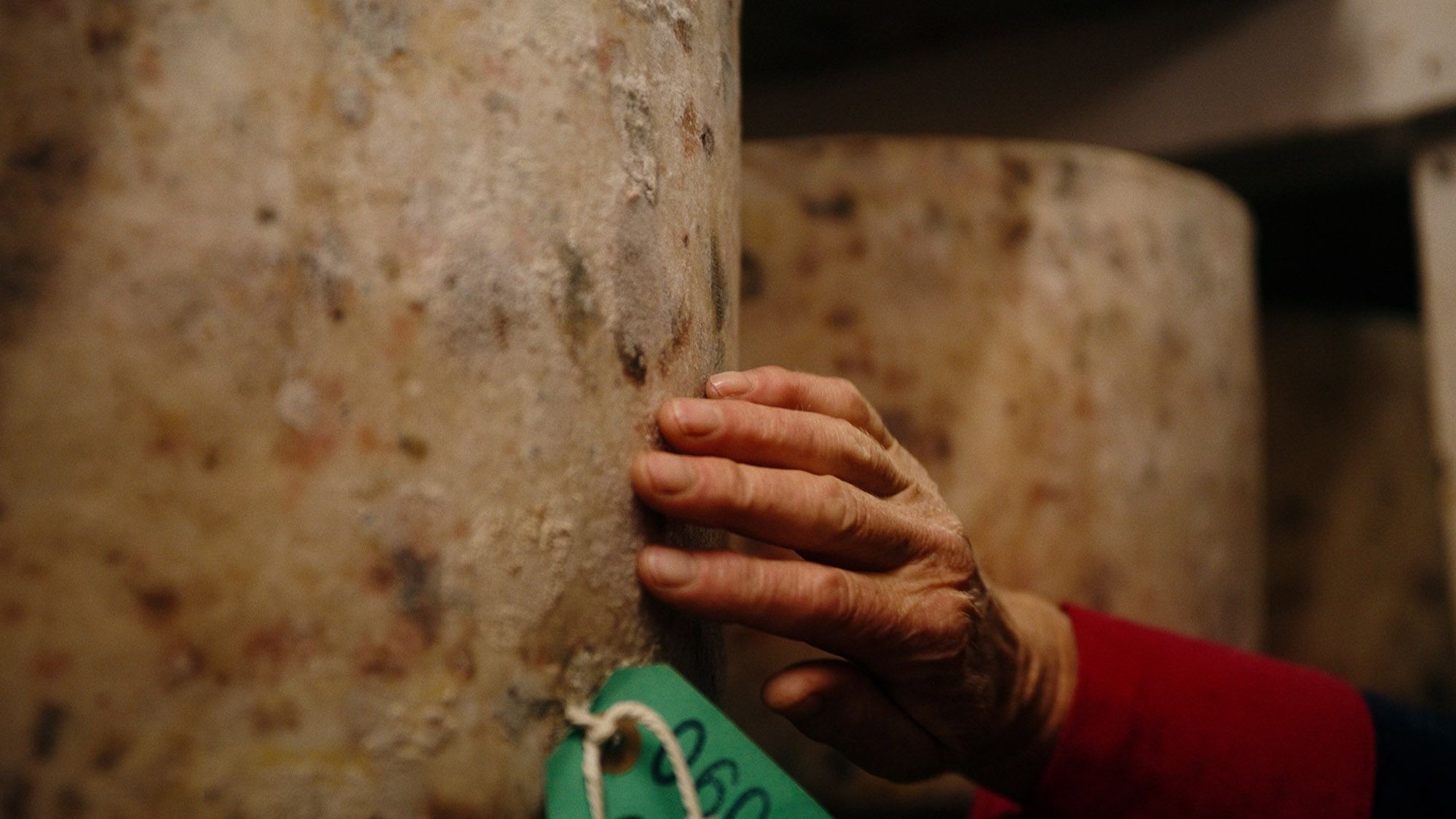 Juustust, huntidest ja pornost. Kumu Dokumentaal avab uue hooaja