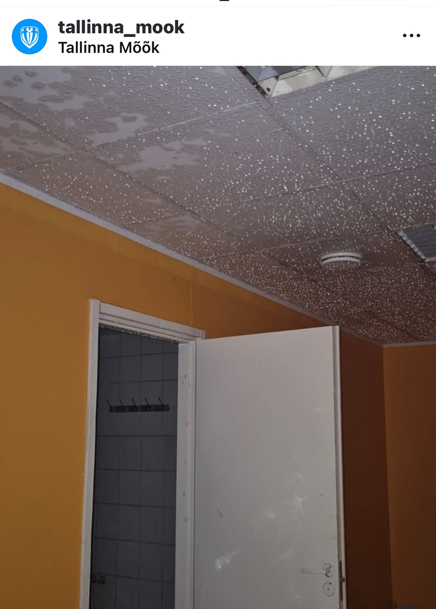 Vehklemisklubi Tallinna Mõõk sattus veeuputuse tõttu raskustesse. „Meil ei ole sellist summat kõrvale pandud“