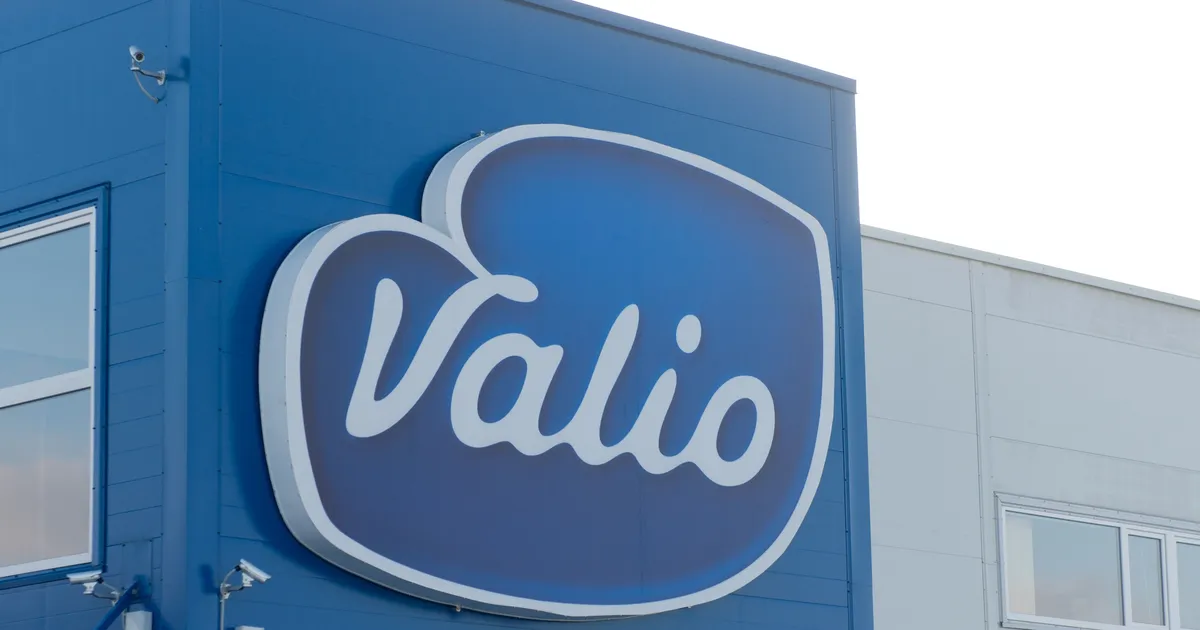 PILT ⟩ Alma kohupiim tekitas ostjas pahameelt: hind on aastatega tõusnud, aga kogus kahanenud