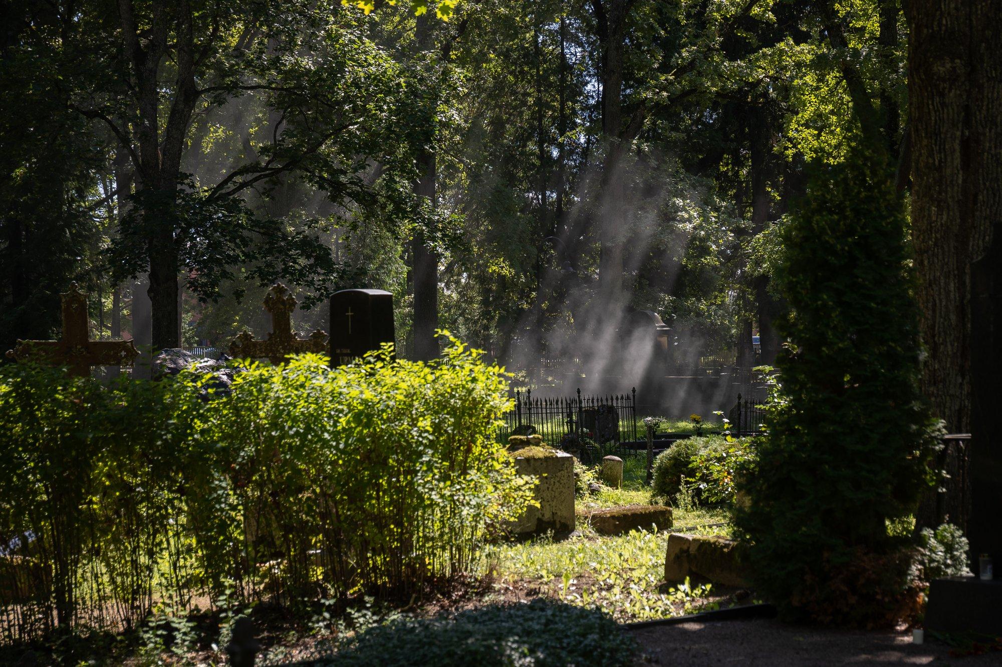 Suri endine hobuste treener ja džoki Bill Turner