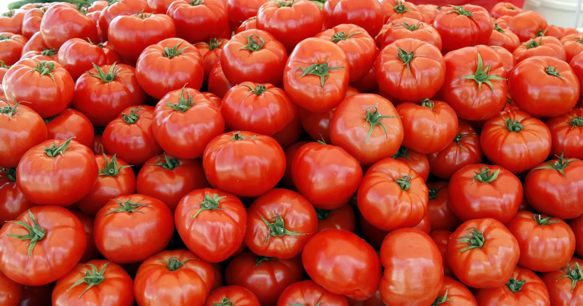 SAAK LÄINUD! ⟩ Tõrva vallas murti sisse kasvuhoonetesse: kadusid tomatid, kurgid ja küüslaugud