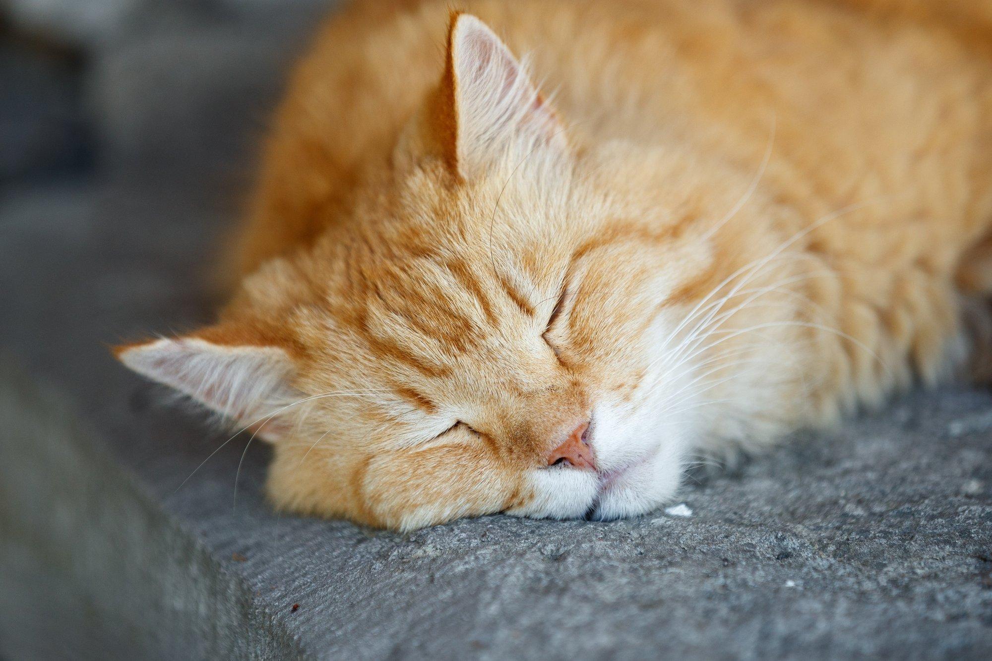 Kui uni ei tule ega tule: seitse ebatavalist nippi magama jäämiseks