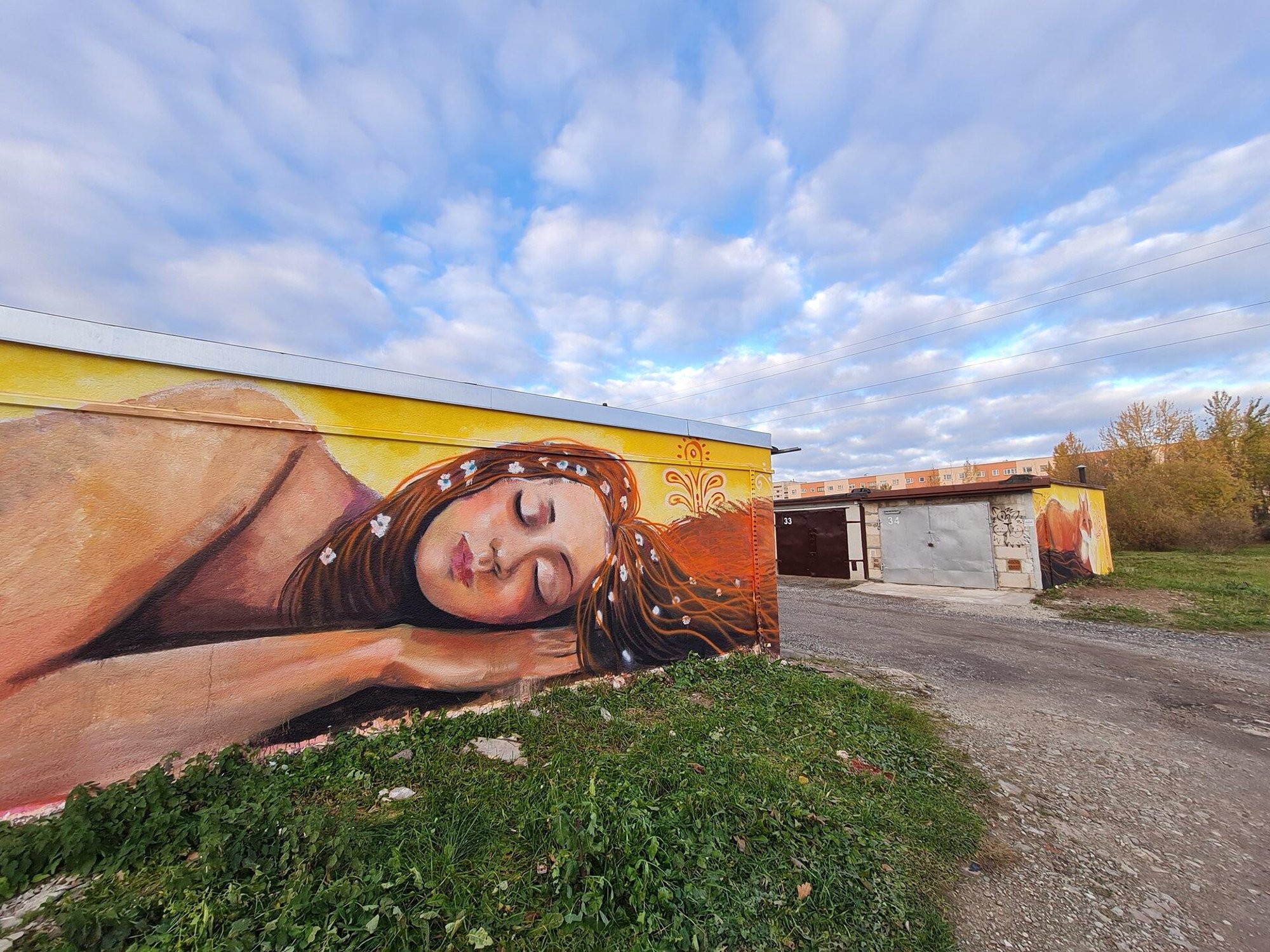 FOTOD | Häbeneda või väärtustada? Viska pilk peale Narva imelisele tänavakunstile