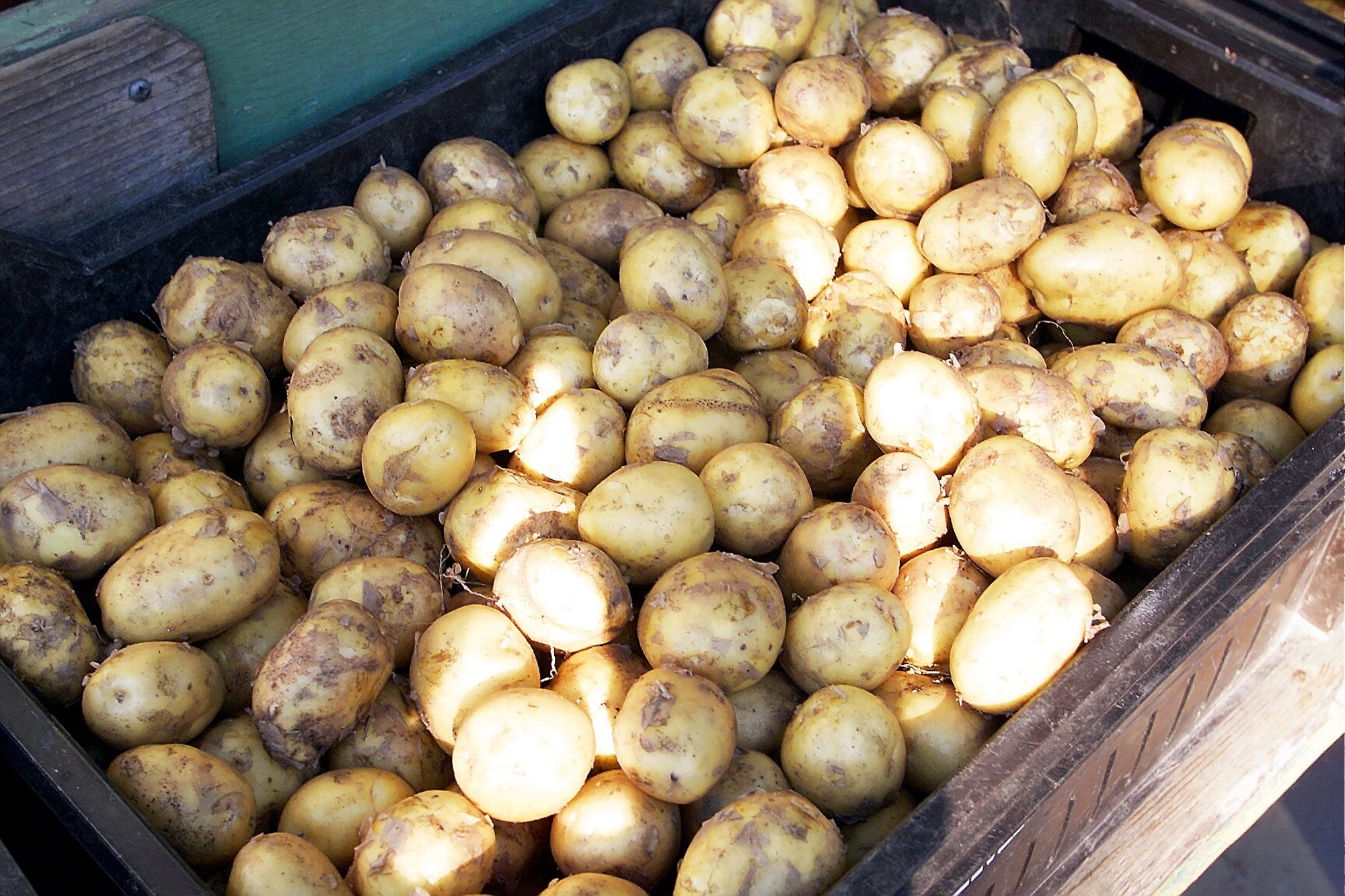 TURUHINNAD | Eesti kartul on aastatagusega võrreldes 30% kallinenud