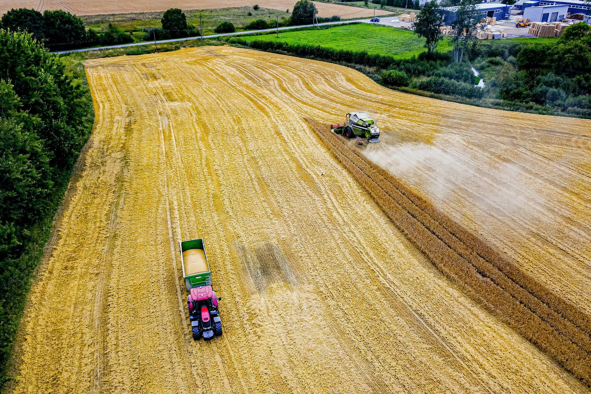 Eesti põllumehed toodavad rohkem, kuid teenivad vähem