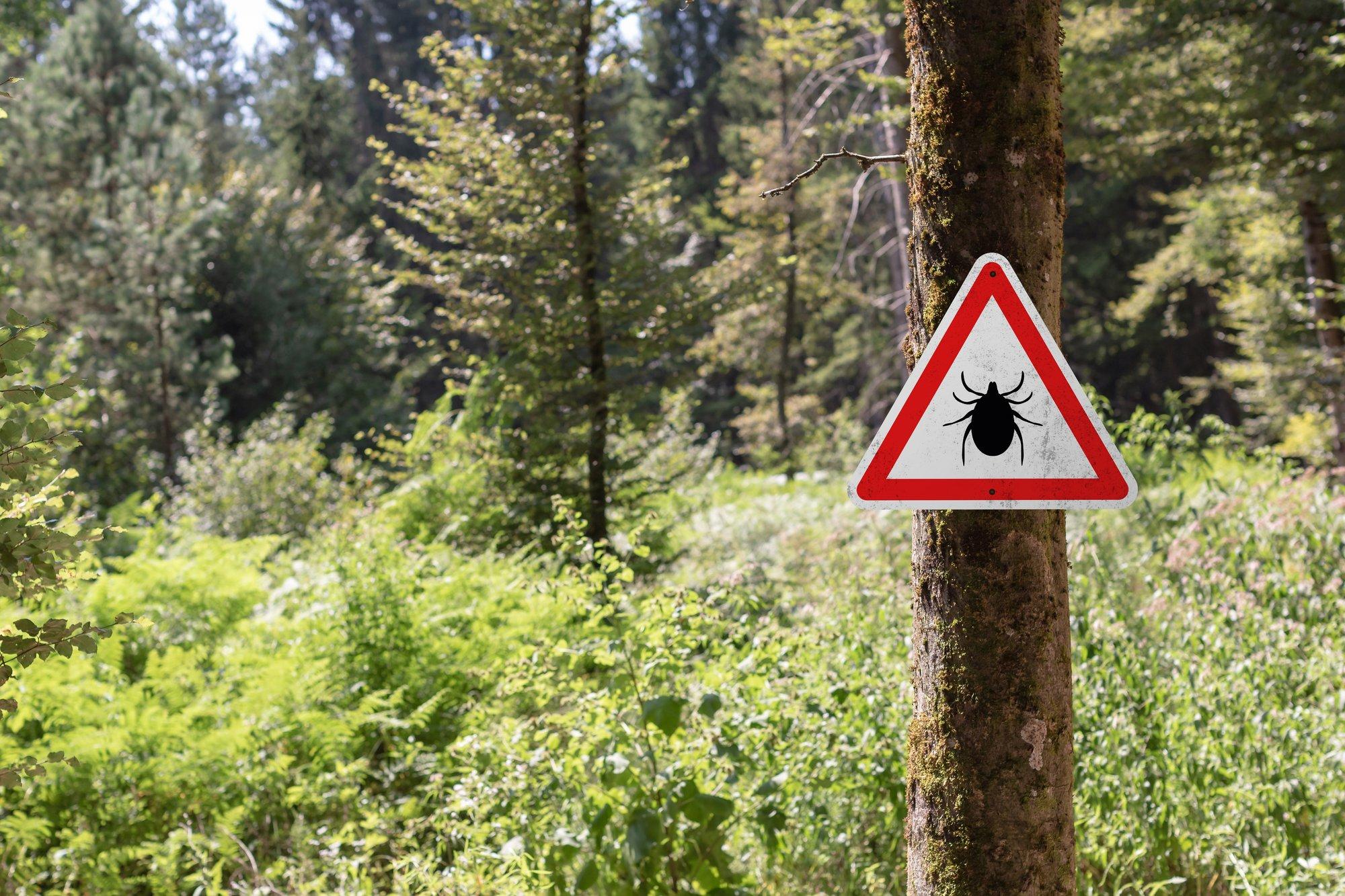 „Olen invaliid. Põhjuseks pikalt avastamata borrelioos.“ Puugihaigus võib end peita gripisümptomite ja liigesevalu varjus