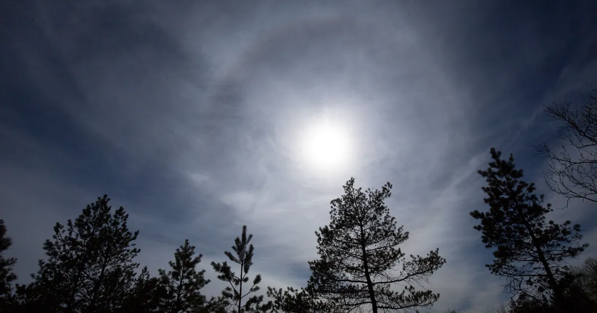KATRIN PAUTS ⟩ Kas inimkond moondub UFO-deks?
