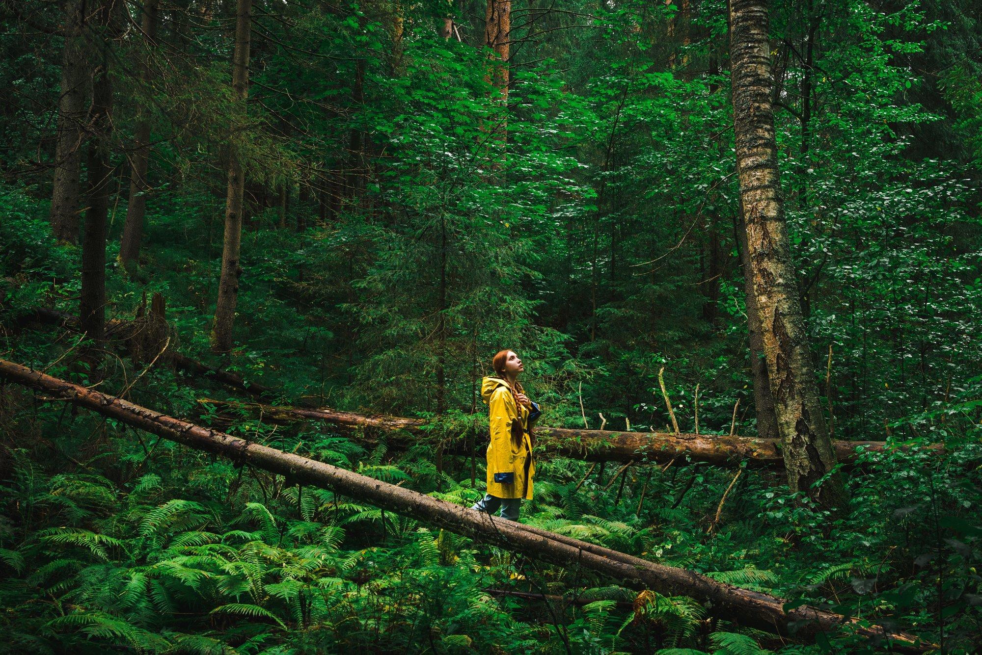 Margus Mikomägi: metsa taga on inimene