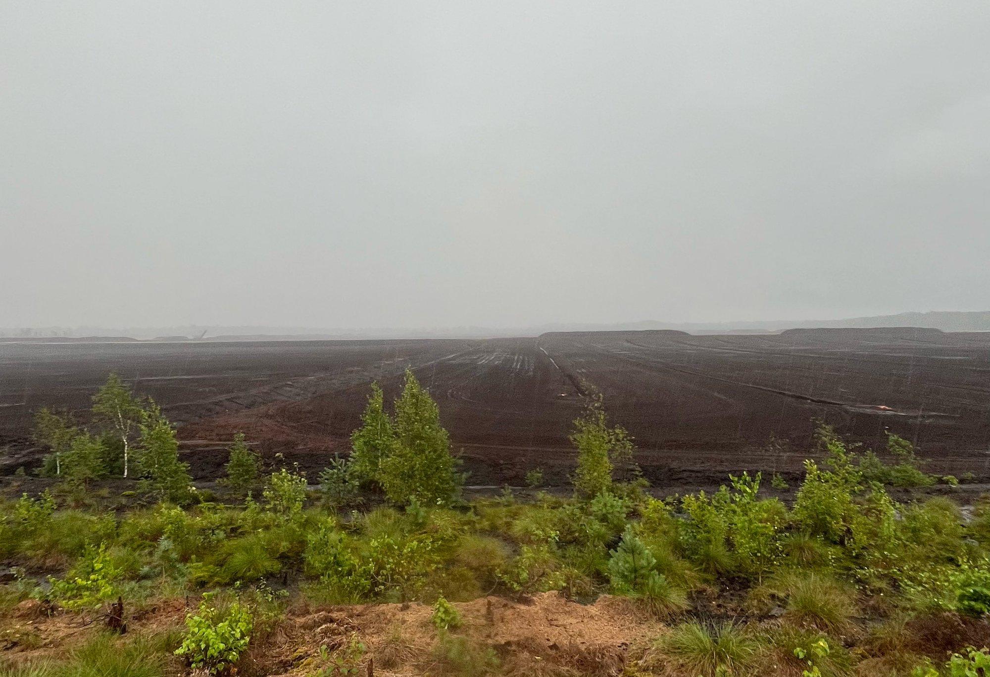 Turbatootjad hädas: sel hooajal on suudetud Eestis toota veerand tavapärasest mahust