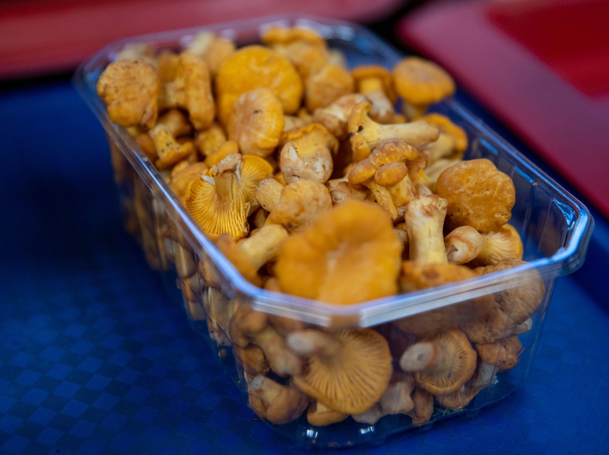 Mustikate ja kukeseente hind langeb, metsasaadused saab kätte peaaegu poolmuidu