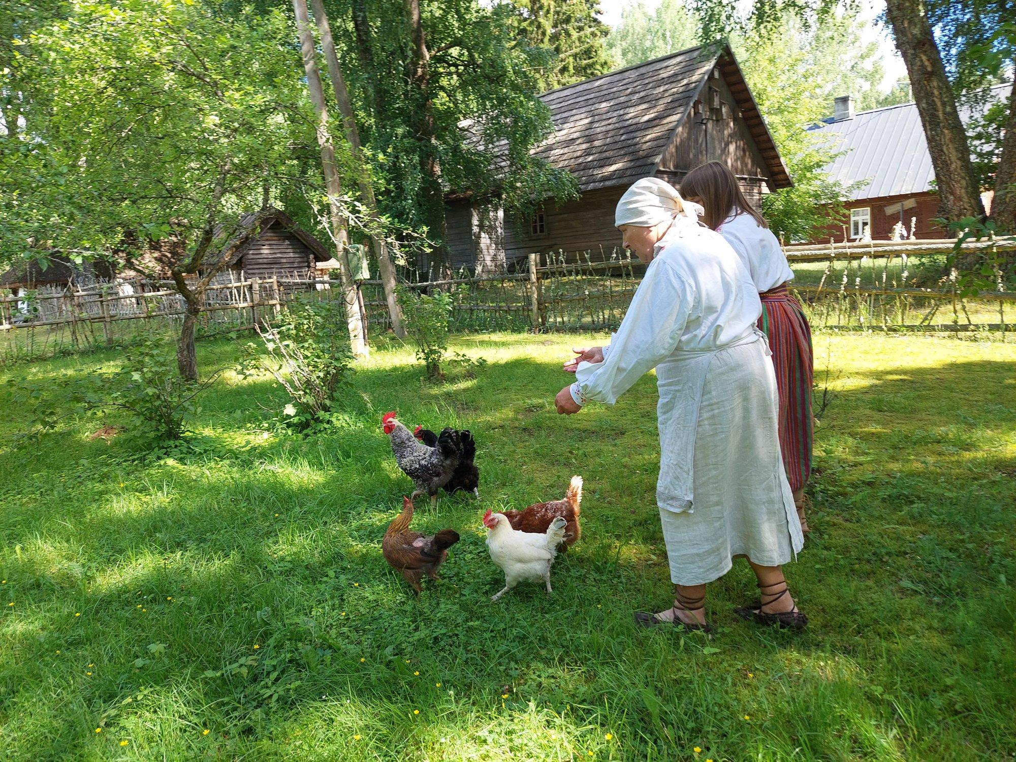 GALERII | Eesti muuseumides kostub nurrumist, prääksumist ja määgimist. Kes neid hääli teevad?