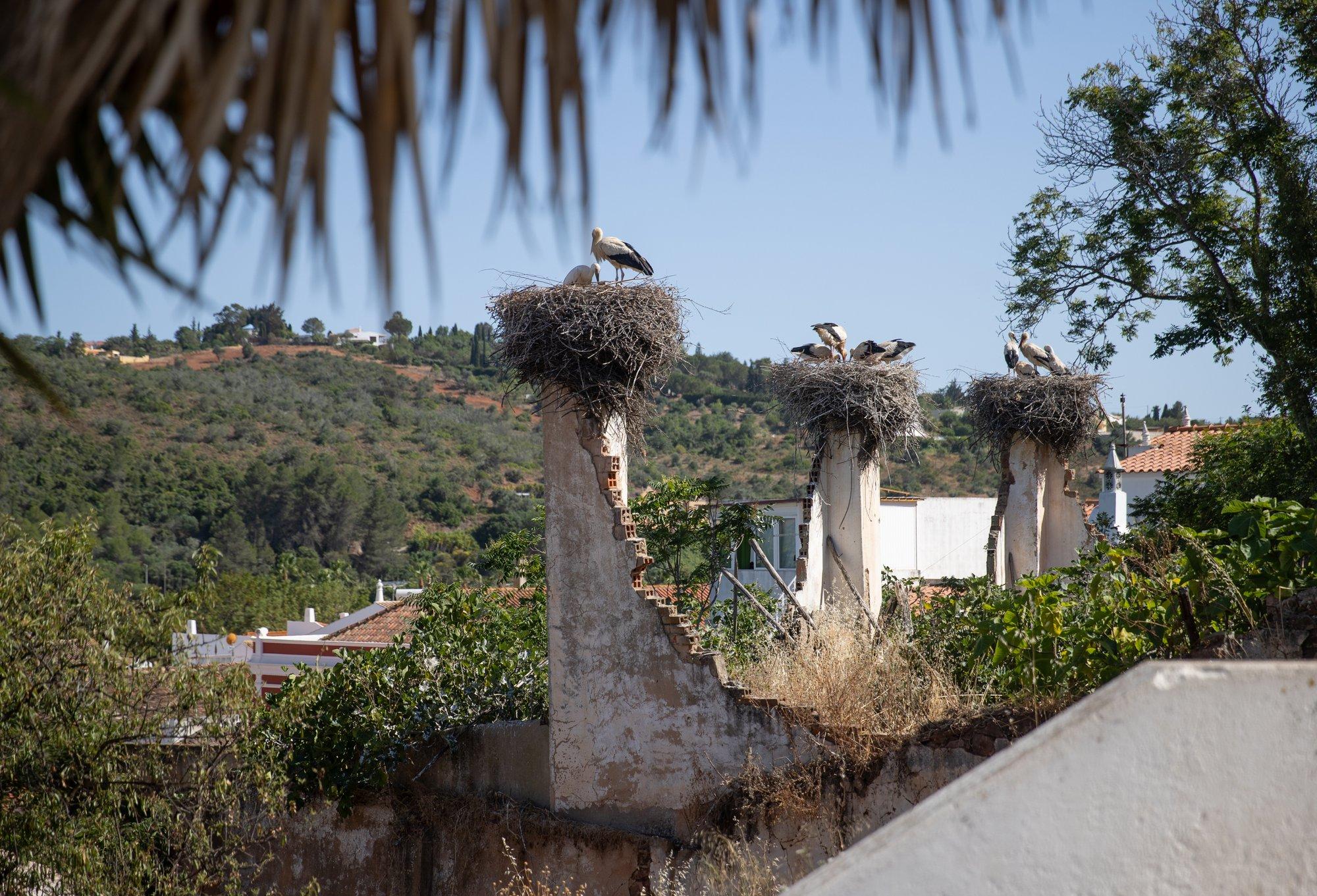 USA eakad otsivad kodust eemal kohta, kus pensionit nautida ja neil on oma lemmikpaigad