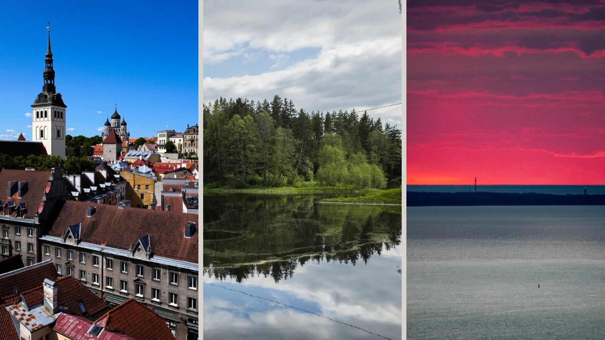 Dawid Wiktor: välismaa sisuloojatele maksmine tooks Eestile kuulsust ja rikkust