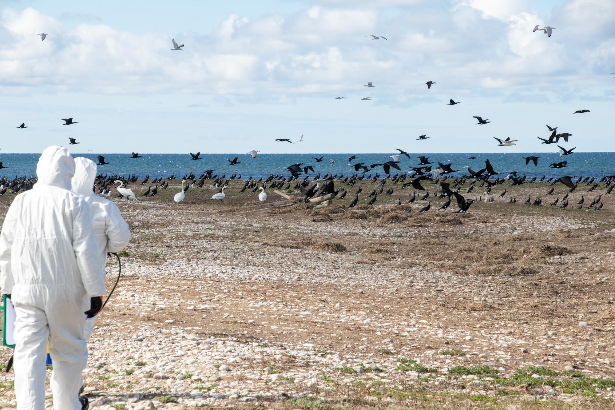 Tarmo Erlich: Eesti kalavarud olid tõsises ohus. Nüüd oleme teinud edusamme