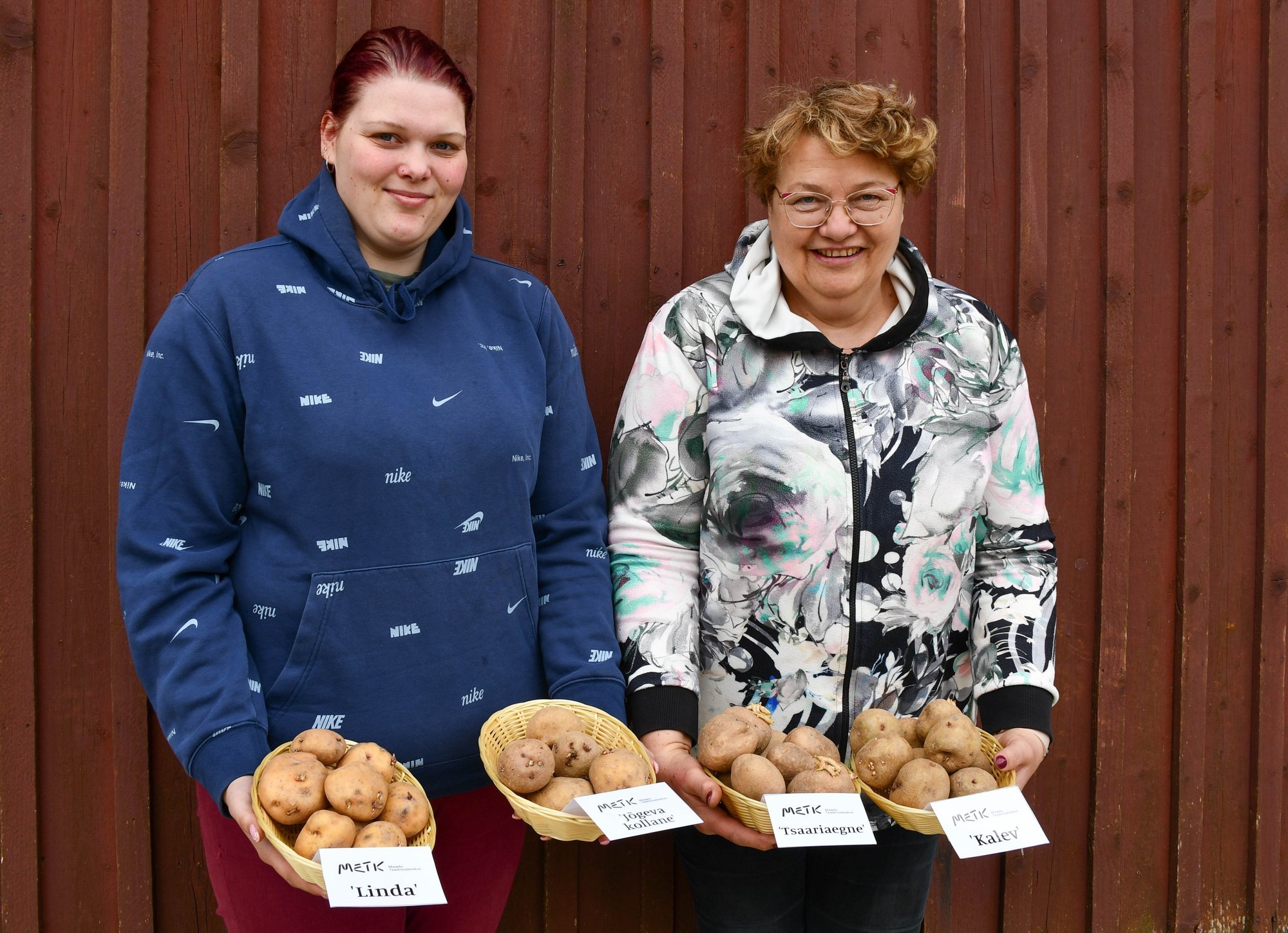 Eestis aretatud kartulisordid säilivad katseklaasides