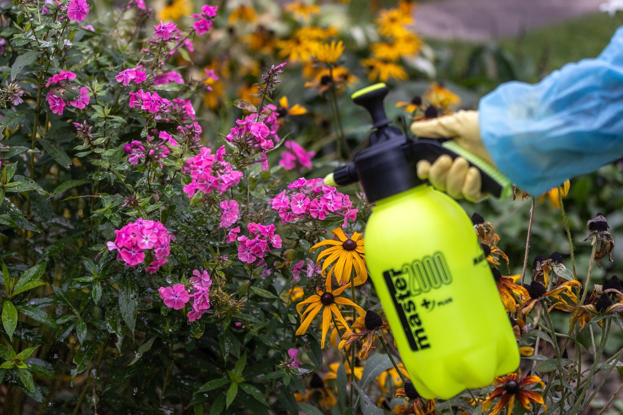 Tee aiakahjurite tõrjumiseks hästi toimiv vahend küüslaugust, piparmündist ja tšillipiprast