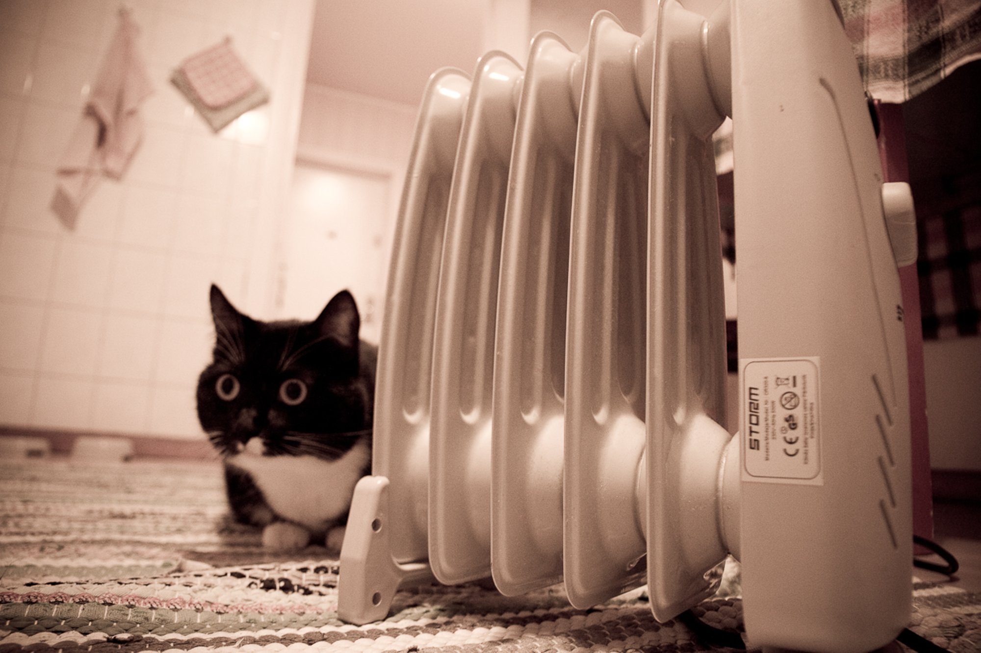 Soojamüüjad eelseisvast kütteperioodist: hinnad püsivad, kuid külm talv võib tuua üllatusi