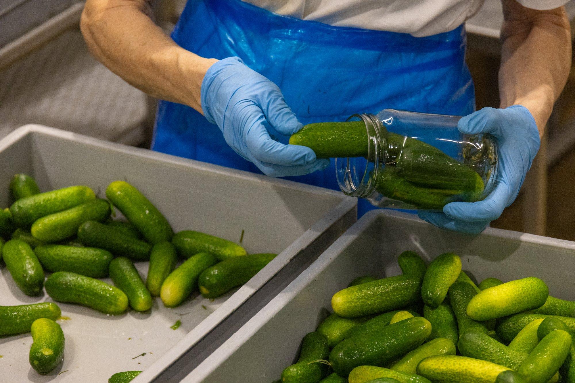 Kasvata ise konservitehaste lemmikkõrvitsat ja -kurki!