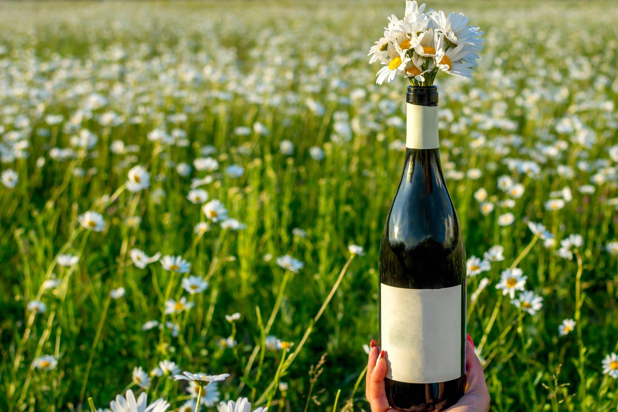 Selle suve hittjook otse koduaiast! Kuidas muuta klaasike valget veini veelgi paremaks? Lisa veidi taimeteed!